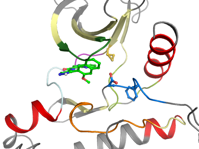 The orthosteric binding pocket