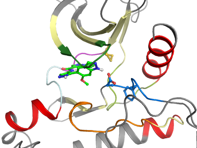 The orthosteric binding pocket