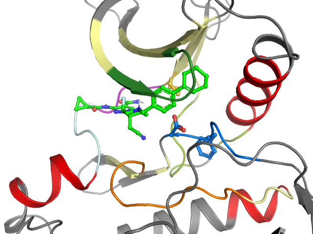 The orthosteric binding pocket