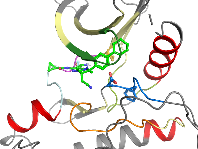 The orthosteric binding pocket