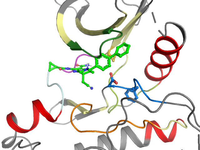 The orthosteric binding pocket