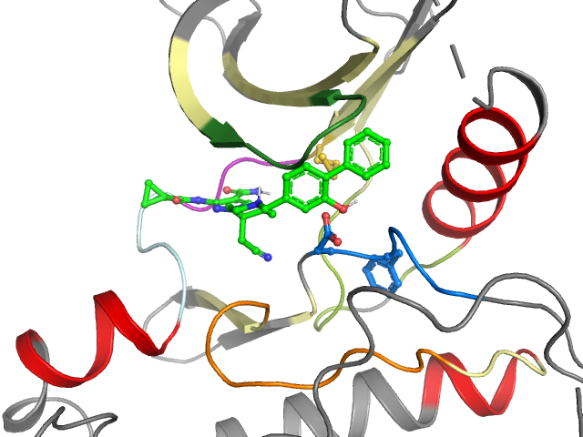 The orthosteric binding pocket