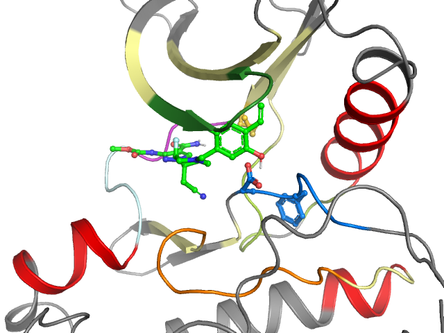 The orthosteric binding pocket