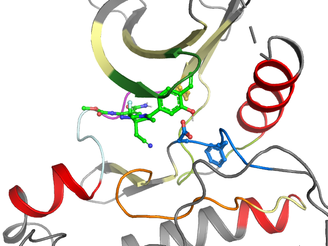 The orthosteric binding pocket