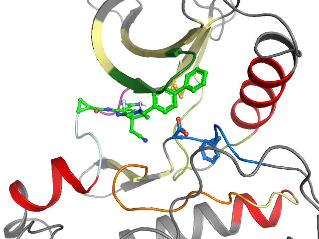 The orthosteric binding pocket