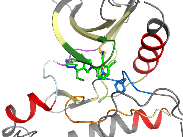 The orthosteric binding pocket