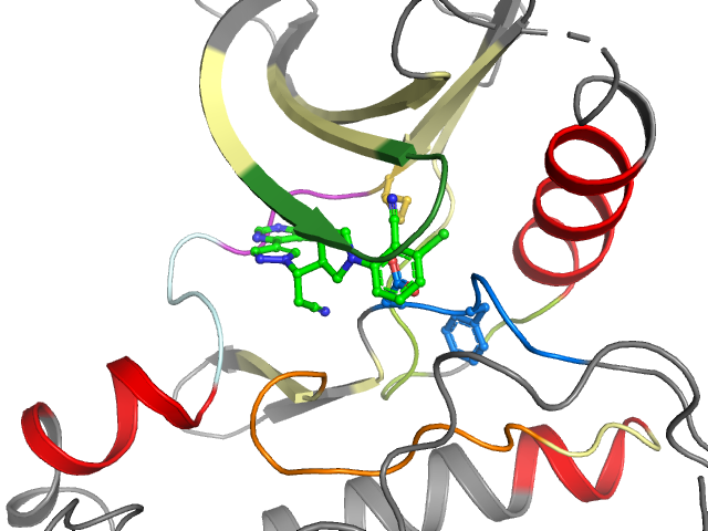 The orthosteric binding pocket