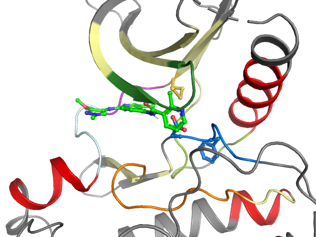 The orthosteric binding pocket