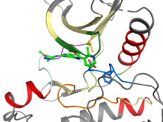The orthosteric binding pocket