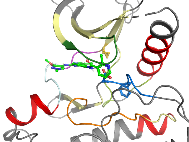 The orthosteric binding pocket