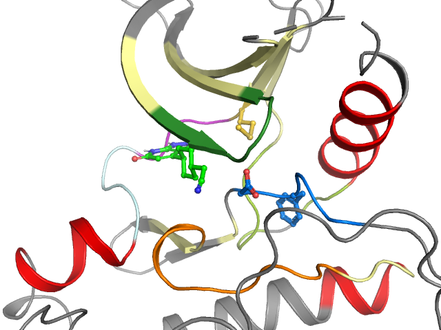 The orthosteric binding pocket