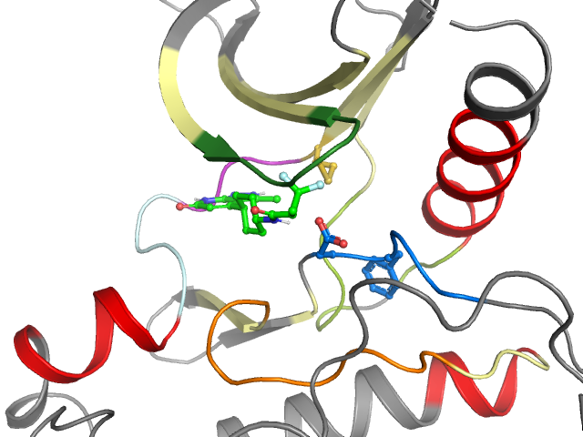 The orthosteric binding pocket