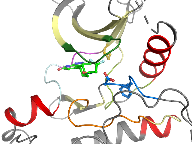 The orthosteric binding pocket