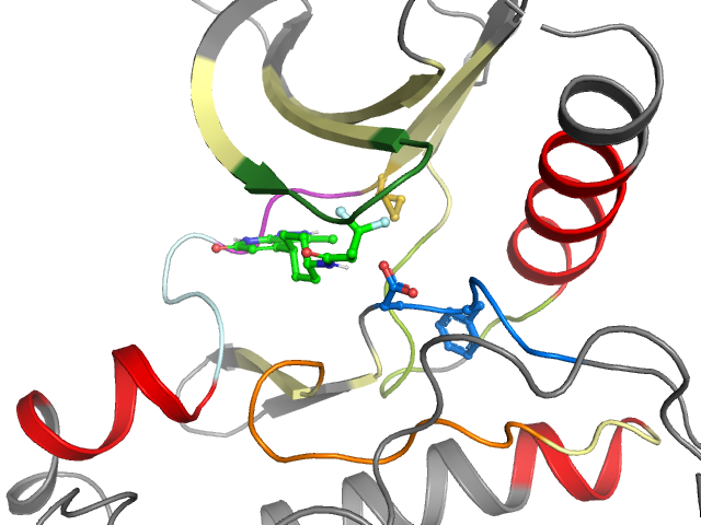 The orthosteric binding pocket
