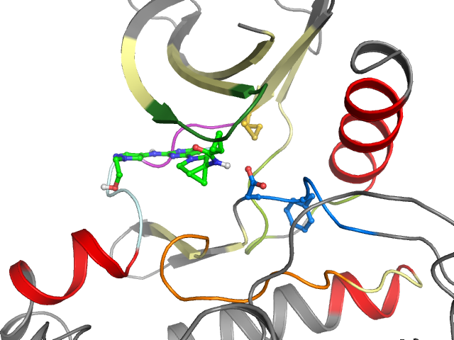 The orthosteric binding pocket
