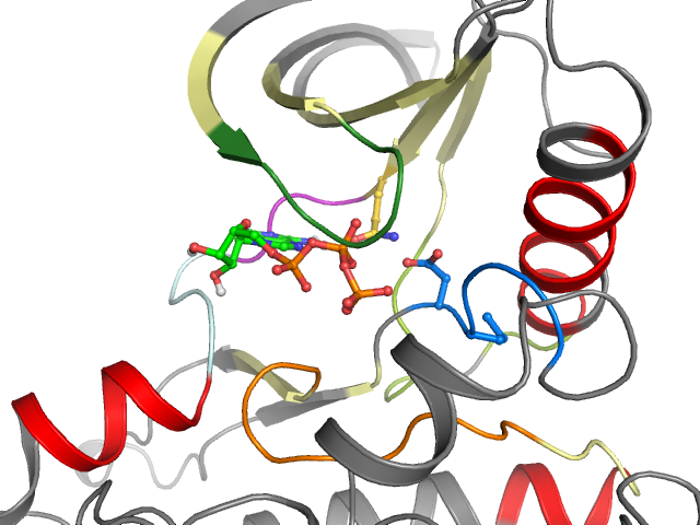 The orthosteric binding pocket