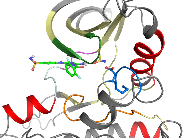 The orthosteric binding pocket