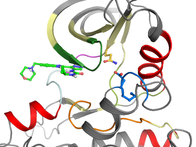 The orthosteric binding pocket