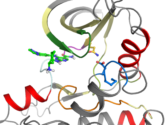 The orthosteric binding pocket