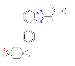 2D structure of the orthosteric ligand