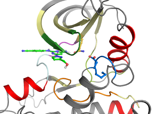 The orthosteric binding pocket