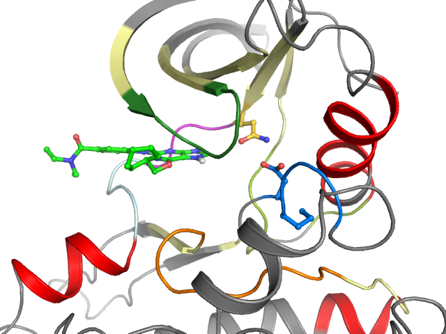 The orthosteric binding pocket