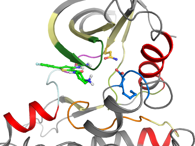The orthosteric binding pocket