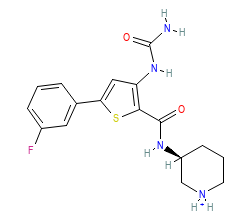 2D structure of the orthosteric ligand