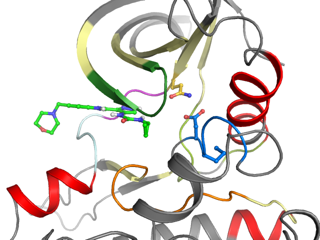 The orthosteric binding pocket
