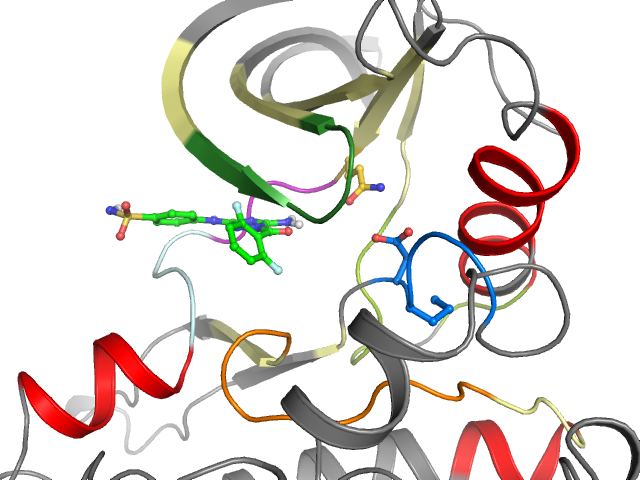 The orthosteric binding pocket