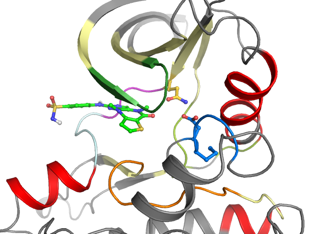 The orthosteric binding pocket