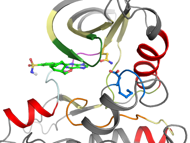 The orthosteric binding pocket