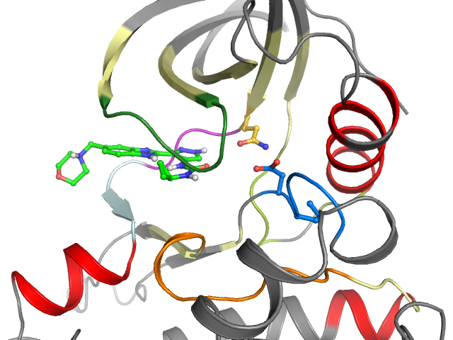 The orthosteric binding pocket
