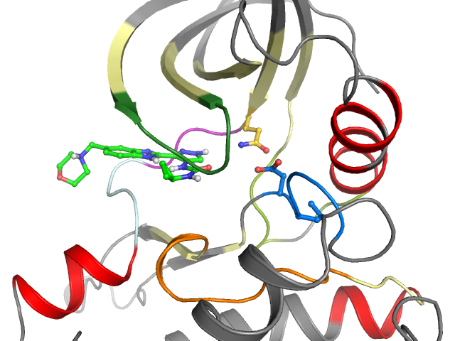 The orthosteric binding pocket