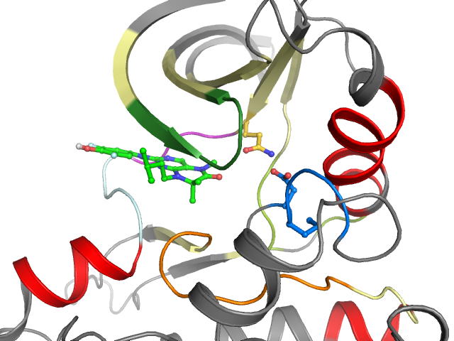 The orthosteric binding pocket