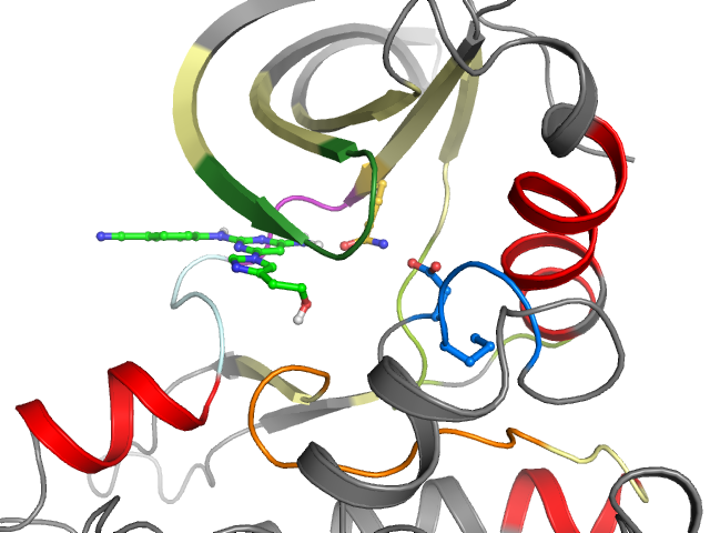 The orthosteric binding pocket