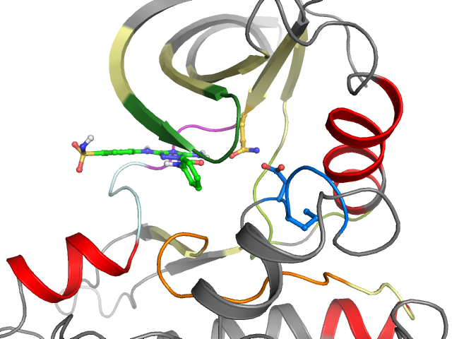 The orthosteric binding pocket