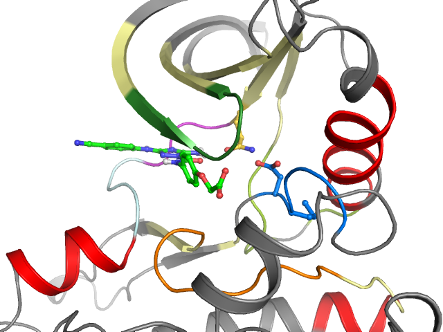The orthosteric binding pocket