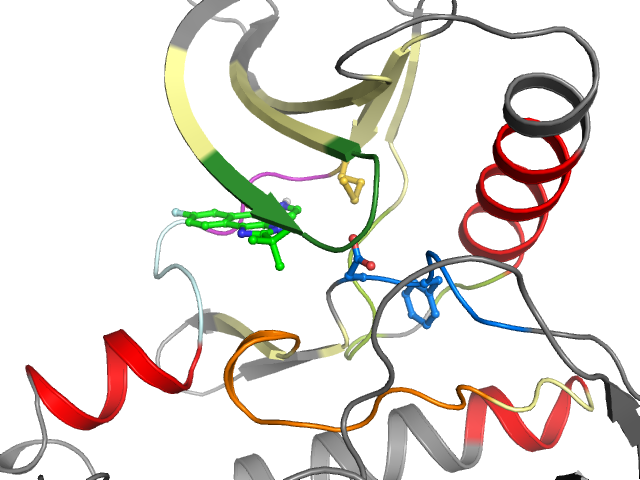 The orthosteric binding pocket