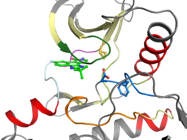 The orthosteric binding pocket