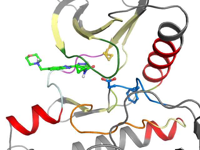 The orthosteric binding pocket