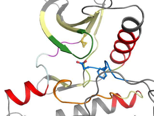 The orthosteric binding pocket