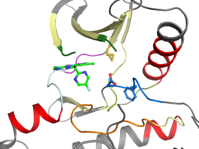 The orthosteric binding pocket