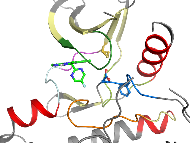 The orthosteric binding pocket