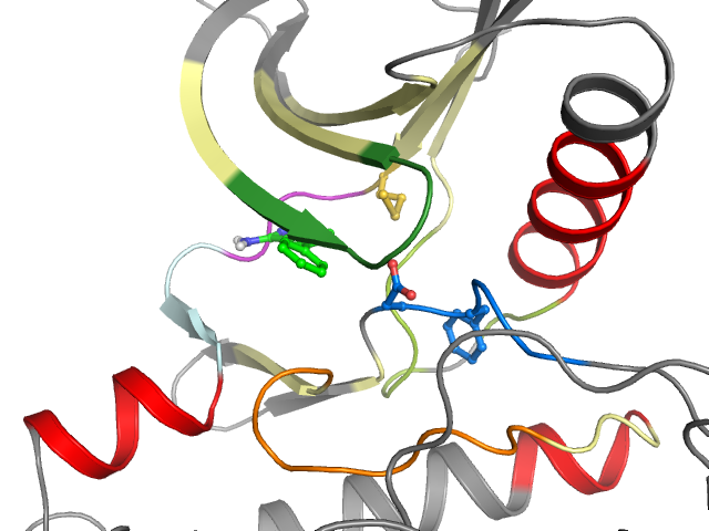 The orthosteric binding pocket
