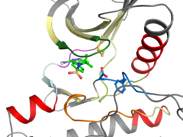 The orthosteric binding pocket