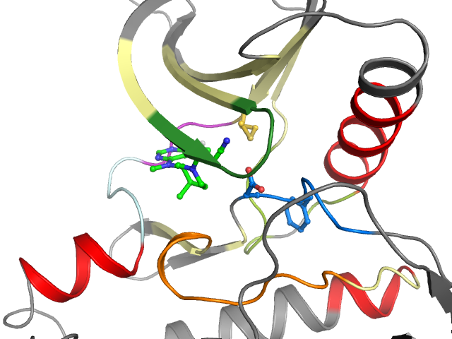 The orthosteric binding pocket
