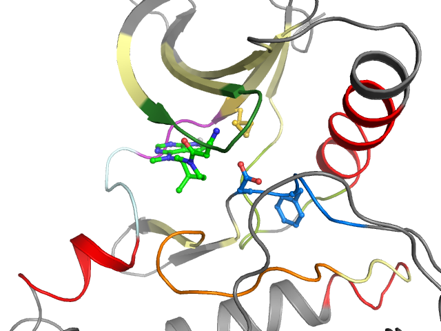 The orthosteric binding pocket