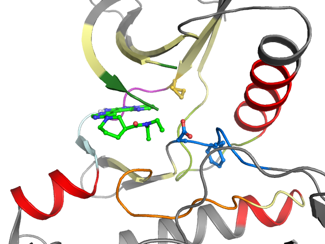 The orthosteric binding pocket