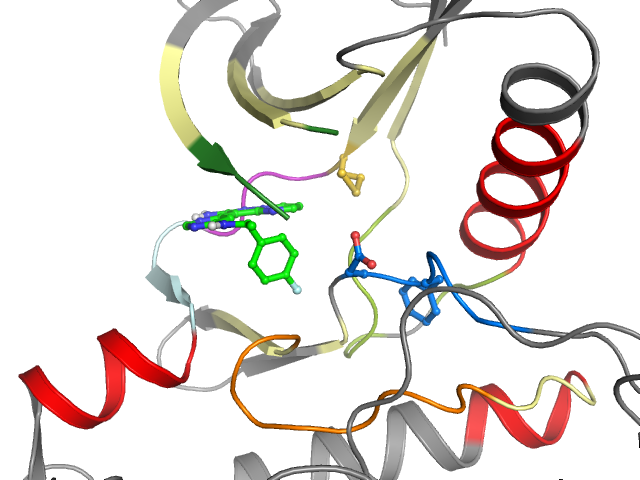 The orthosteric binding pocket